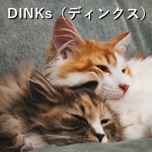 DINKs（ディンクス）を選ぶ2つのメリット