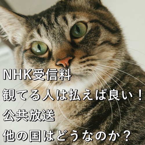 NHK受信料、観てる人は払えば良い！公共放送、他の国はどうなのか？