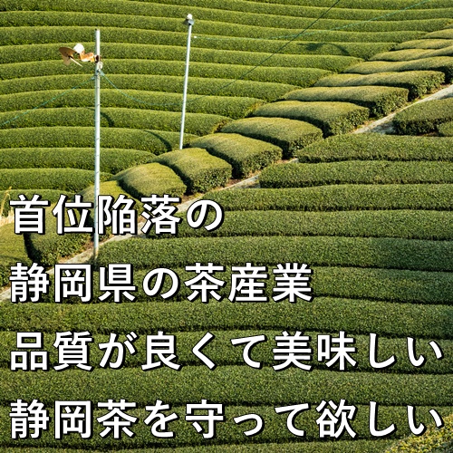 首位陥落の静岡県の茶産業　品質が良くて美味しい静岡茶を守って欲しい